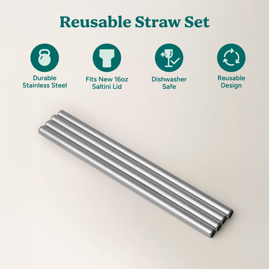 saltini-straw-set-t7 4PK_SaltiniStraws_SS-2.jpg
