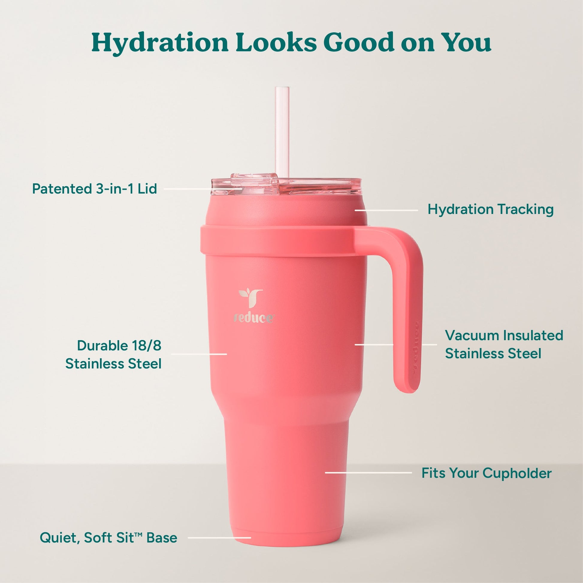 cold1-40-oz-h7 Cold1_40oz_Daiquiri_Infographic_2.jpg