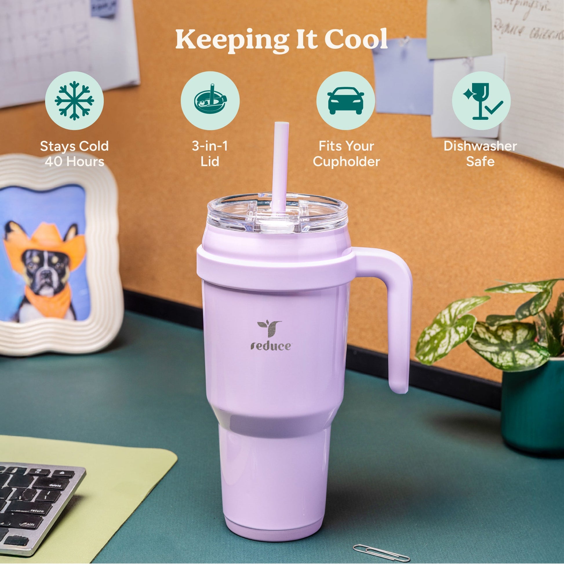 cold1-40-oz-h7 Cold1_40oz_Mojito_Infographic_1.jpg
