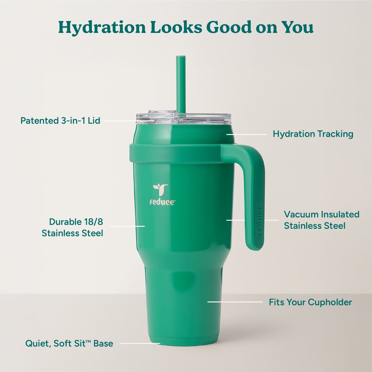 cold1-40-oz-h7 Cold1_40oz_PalmLeaf_Infographic_2.jpg