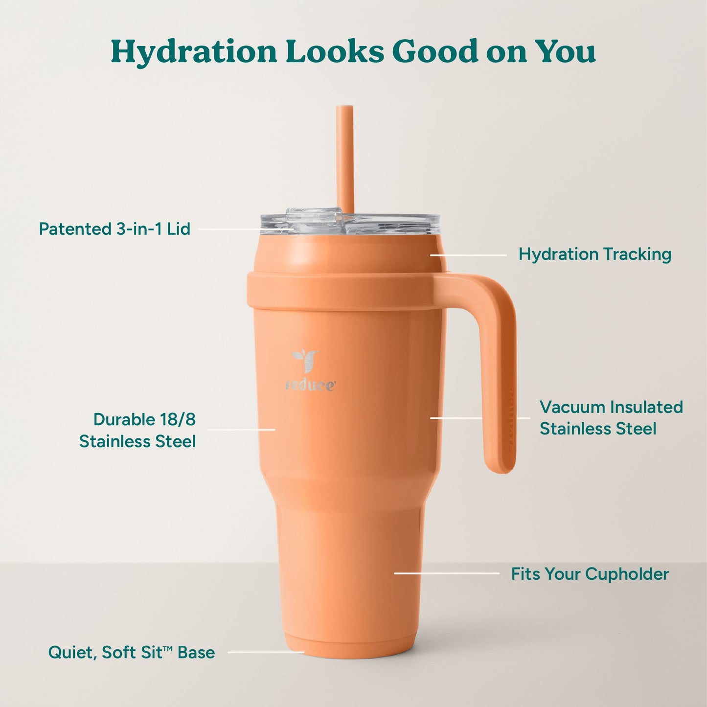 cold1-40-oz-h7 Cold1_40oz_Papaya_Infographic_2.jpg