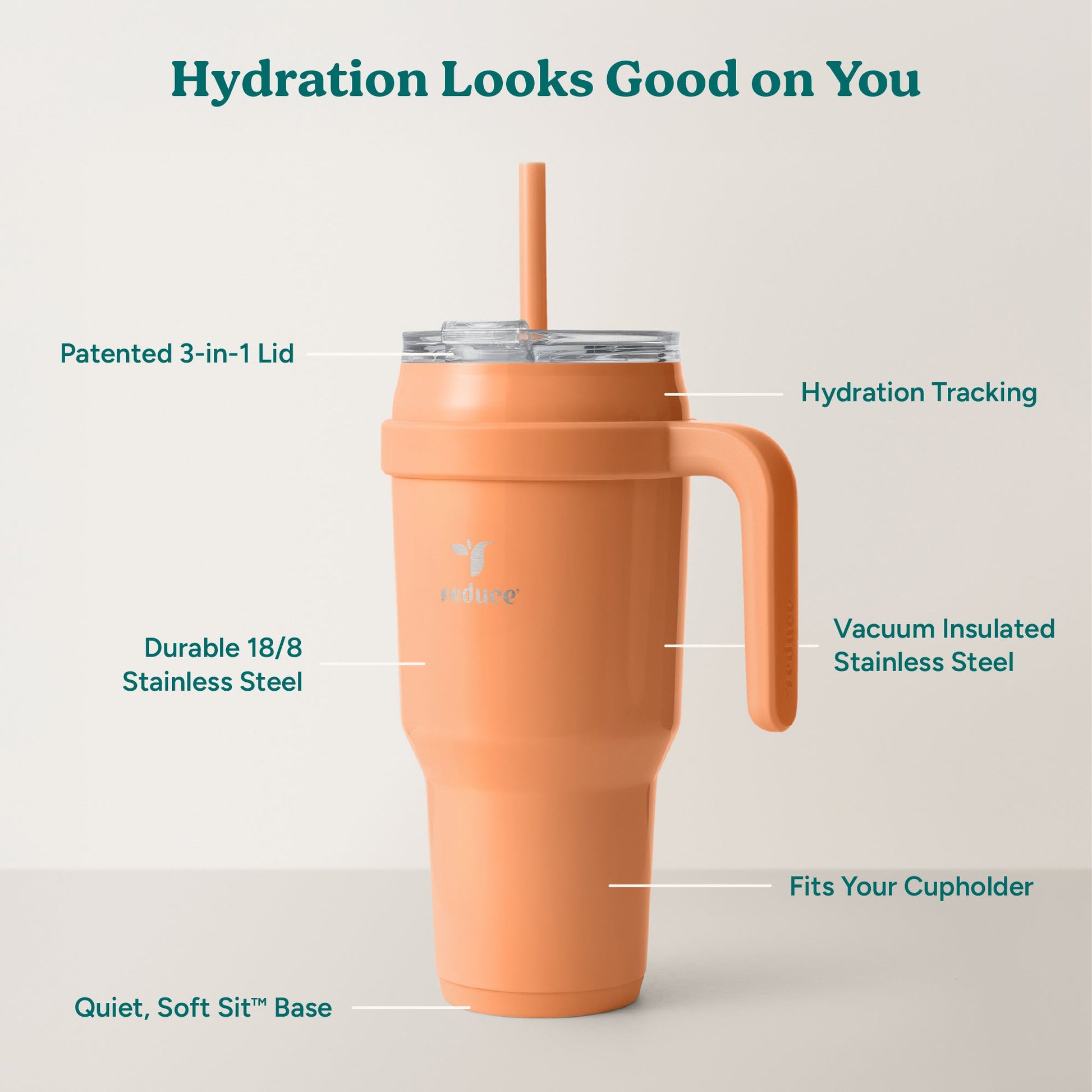 cold1-40-oz-h7 Cold1_40oz_Papaya_Infographic_2.jpg