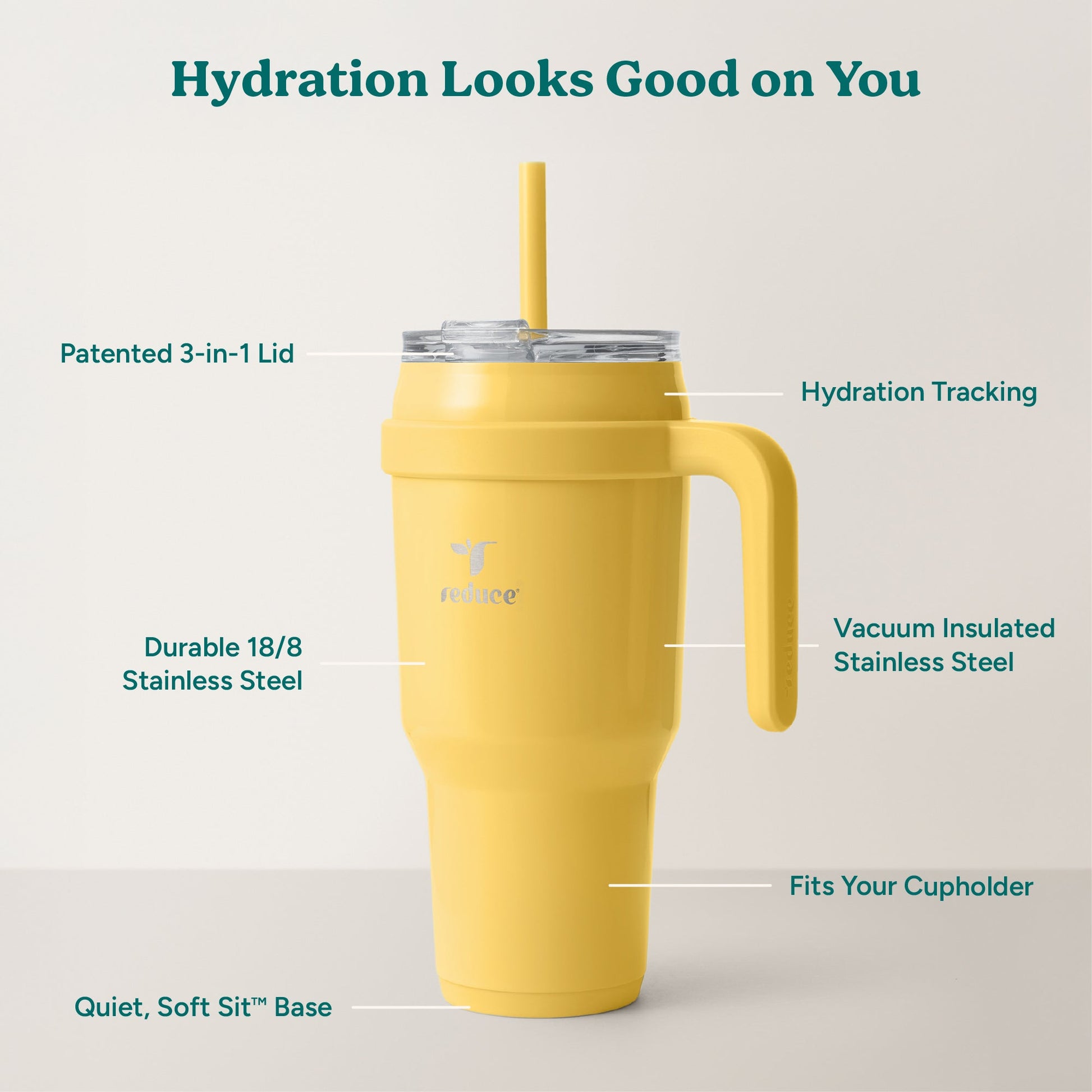 cold1-40-oz-h7 Cold1_40oz_Pineapple_Infographic_2.jpg
